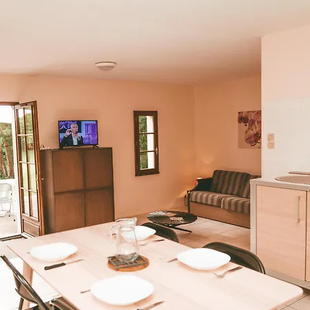 假日公园 法国之地度假屋 - 蒙孔图尔活动公园 3*