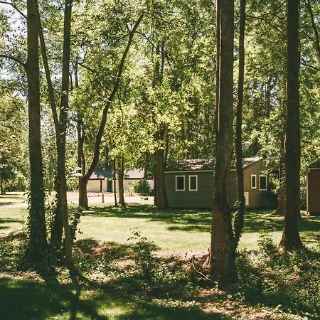 法国之地度假屋 - 蒙孔图尔活动公园 3* Moncontour (Vienne)