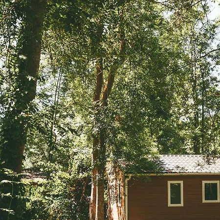 法国之地度假屋 - 蒙孔图尔活动公园 假日公园 3*