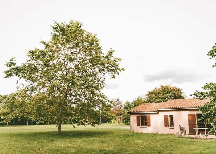Terres De France - Active Park Moncontour (Vienne)