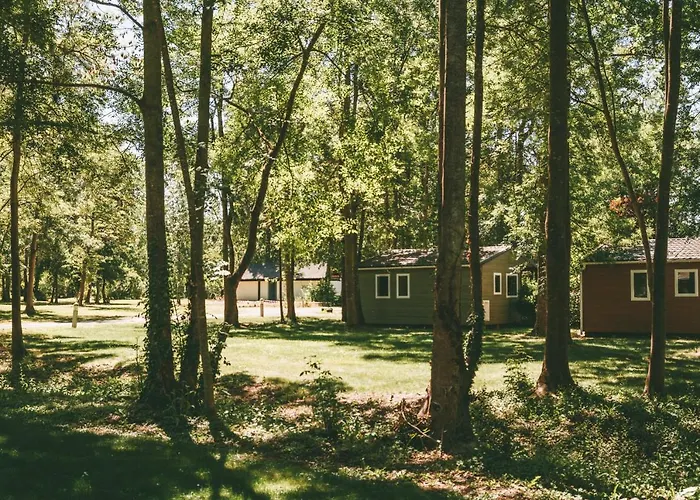 Terres De France - Active Park 3* Moncontour (Vienne)