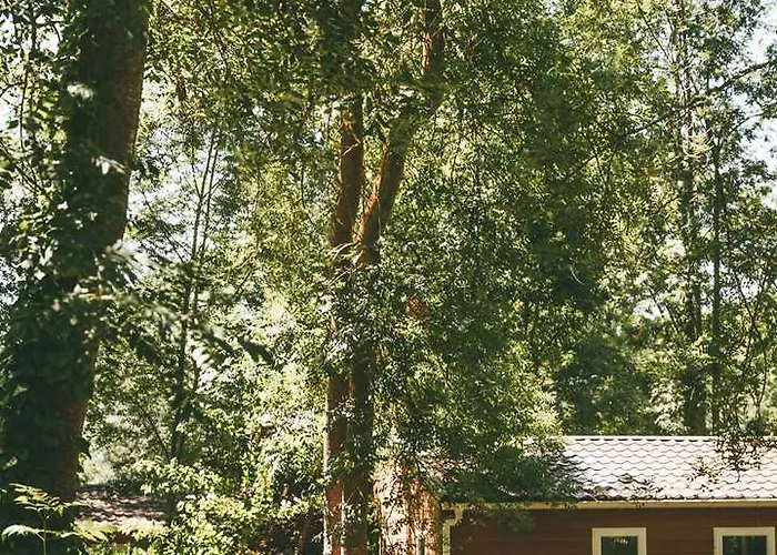 Terres De France - Active Park Aldeamento Turístico 3*